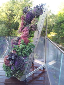 Green wall