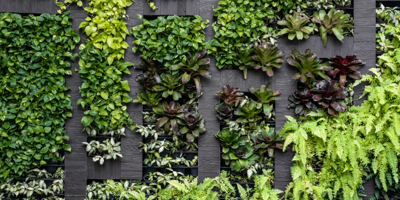 green-wall-eco-friendly-vertical-garden