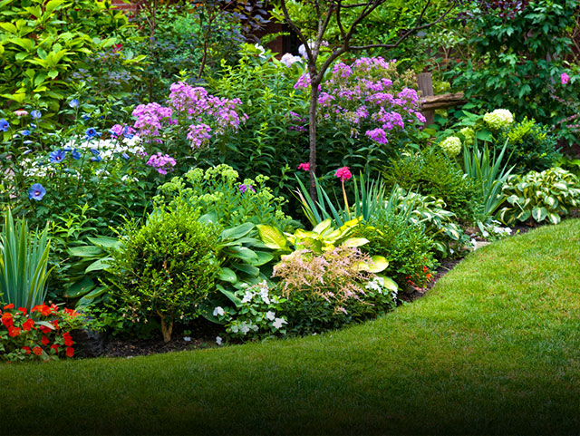gardening services by toronto landscaping company