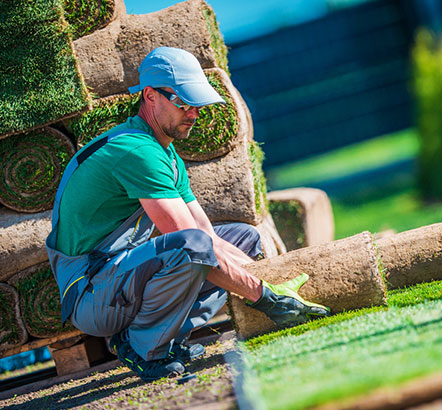 Toronto landscape designer team