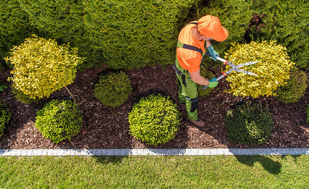 gardening services by landscape maintenance team
