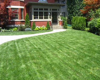 Lawn & Garden Care