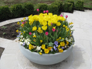 Create a lush garden with urns