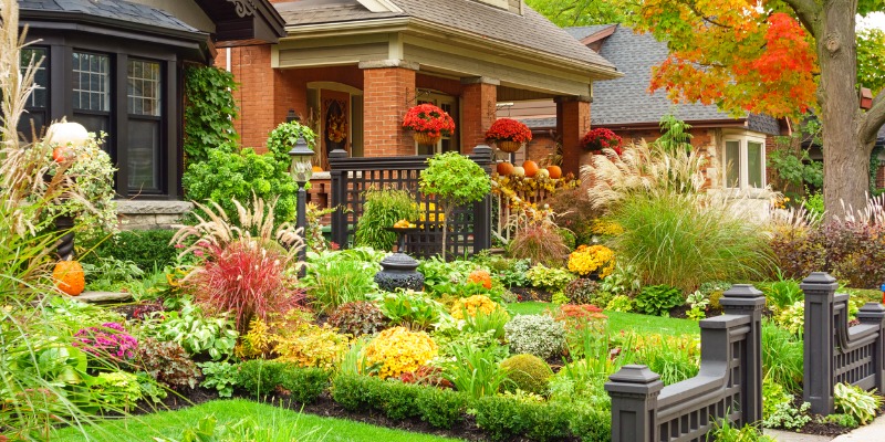 Front garden beds in the autumn - Don't Forget About Your Fall Garden