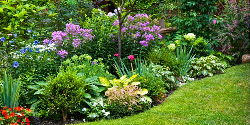 Manicured garden bed & lawn 