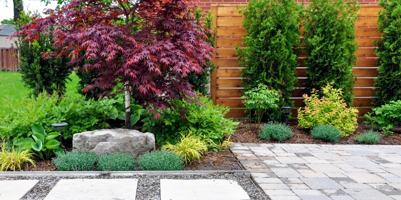 hardscaping and softscaping in backyard