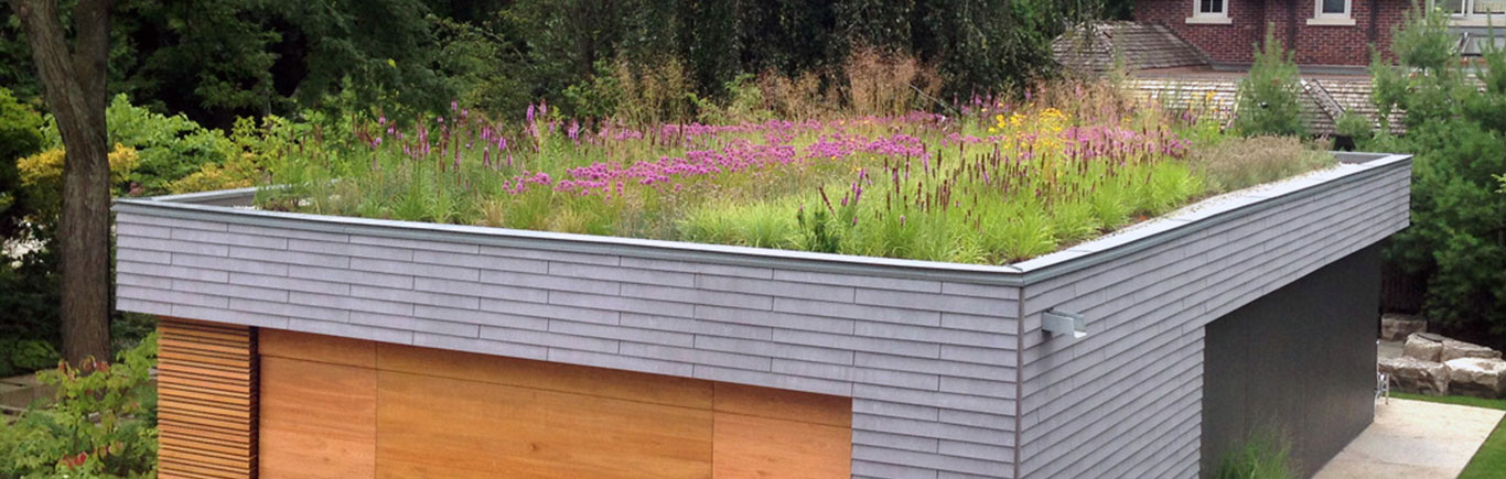 green roof garden on toronto home