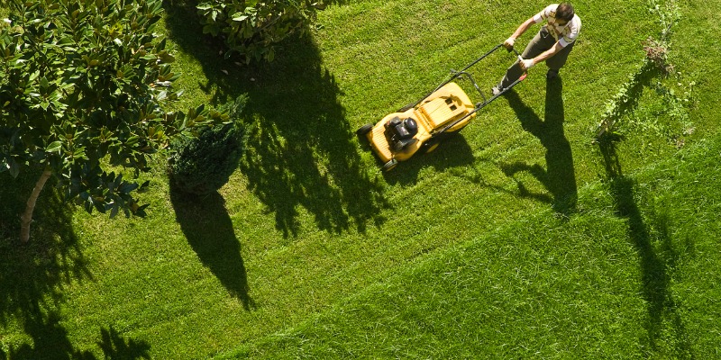 mowing lawn