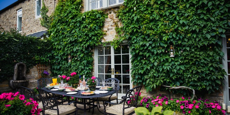 beautiful ivy living wall