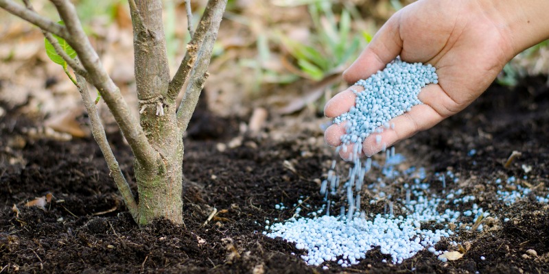 man placing fertilizer on soil