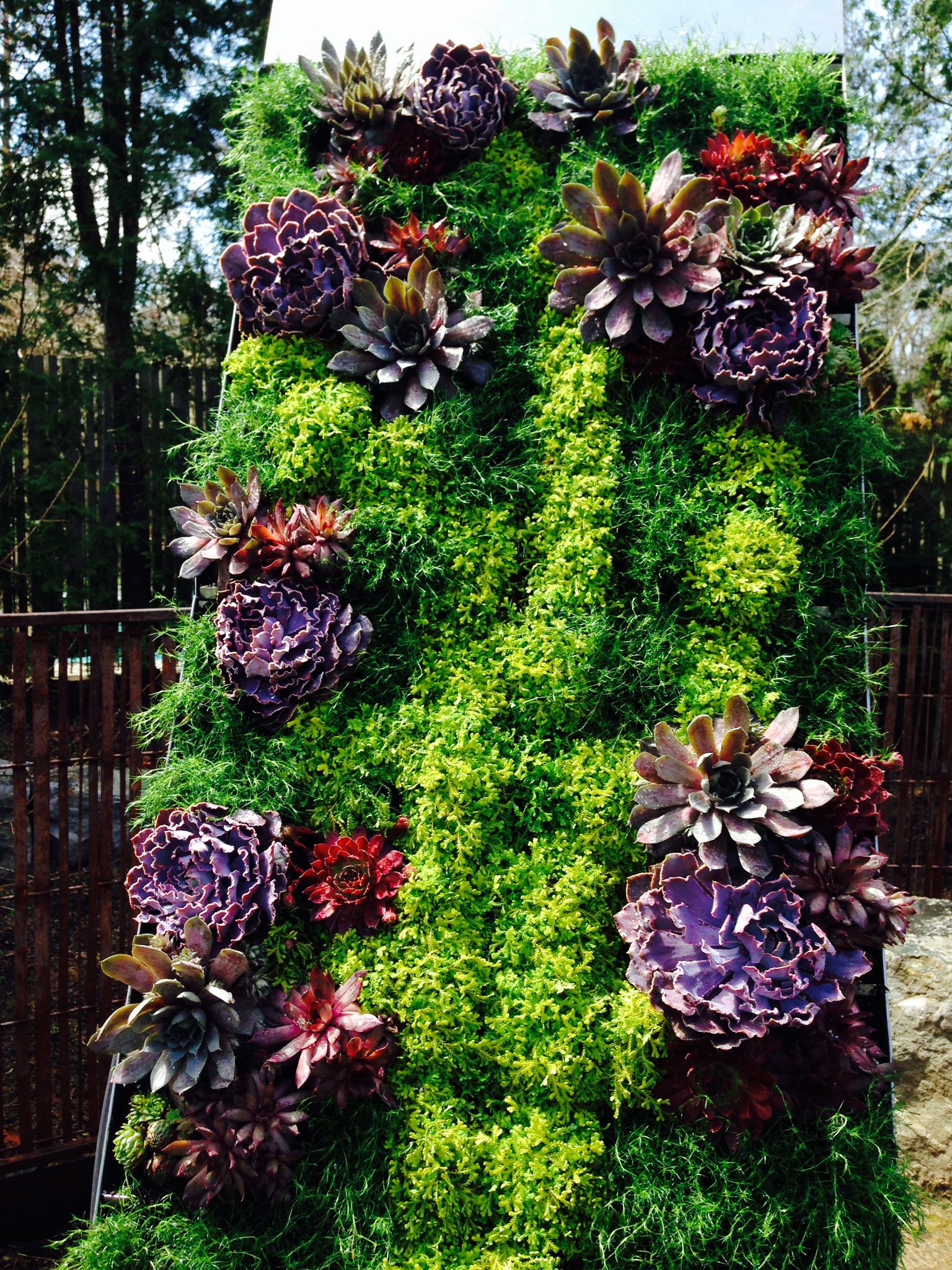 Green Roofs, Green Walls and Food Walls