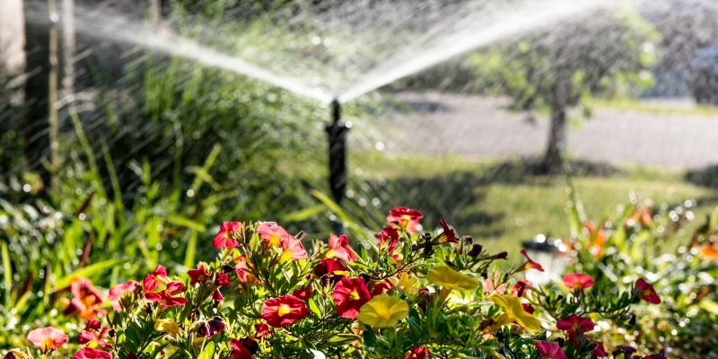 Sprinker System in garden bed in use