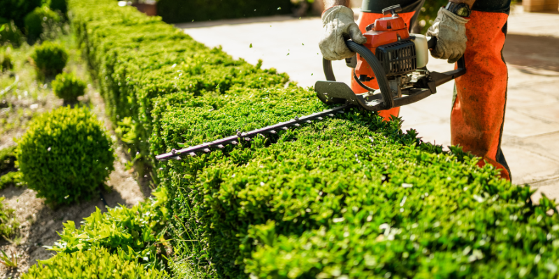 The Many Ways Proper Lawn Care Can Improve Your Life