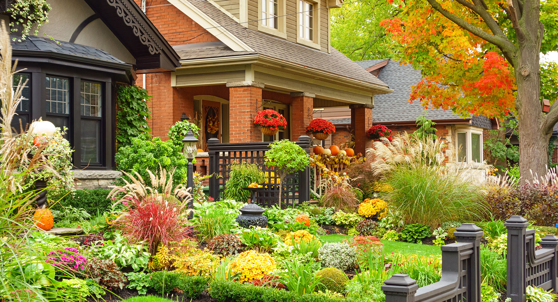 garden care and planting maintenance toronto