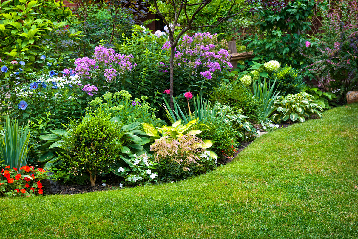 gardening services by toronto landscaping company