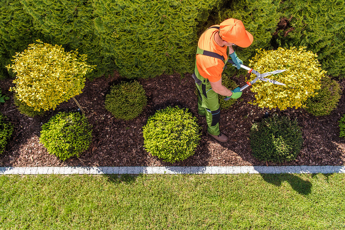 Toronto gardening services by landscape maintenance team
