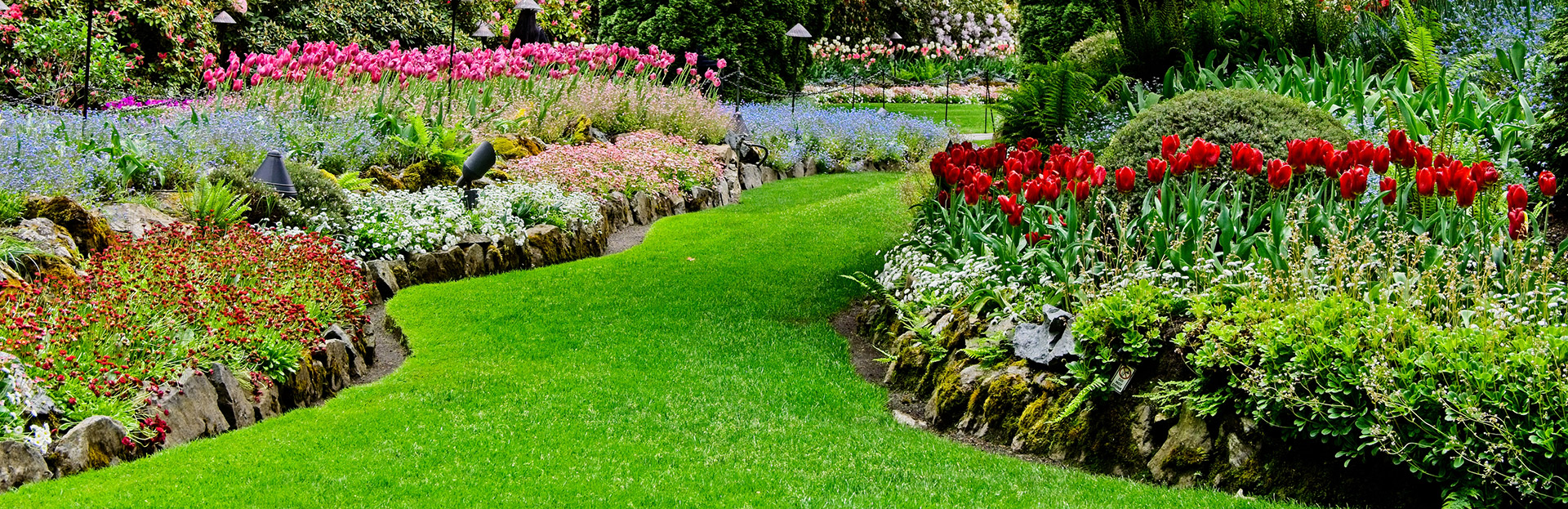 planting and garden services in toronto
