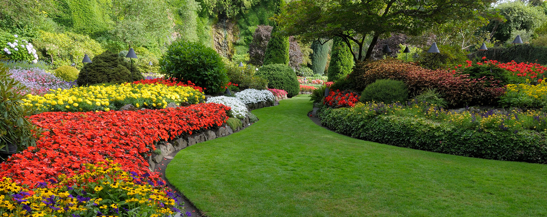 lawn maintenance,  grass cutting and garden clean up in  toronto