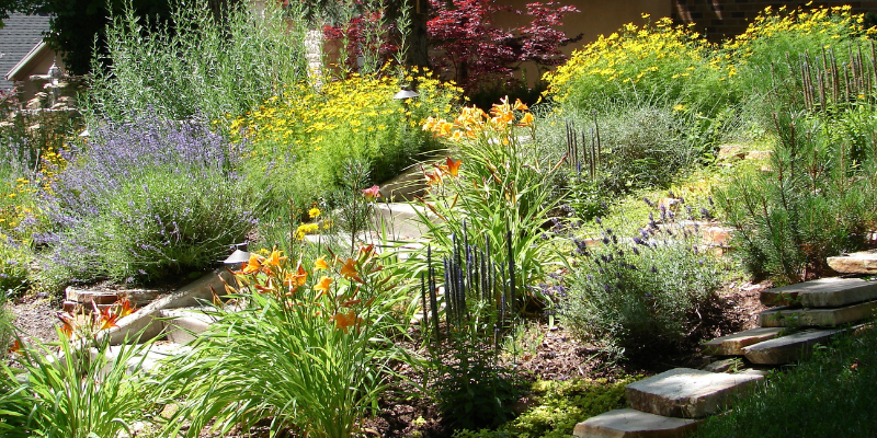 Xeriscaping garden - Revolutionize Your Landscaping with Xeriscaping: An Eco-friendly Approach to Landscaping