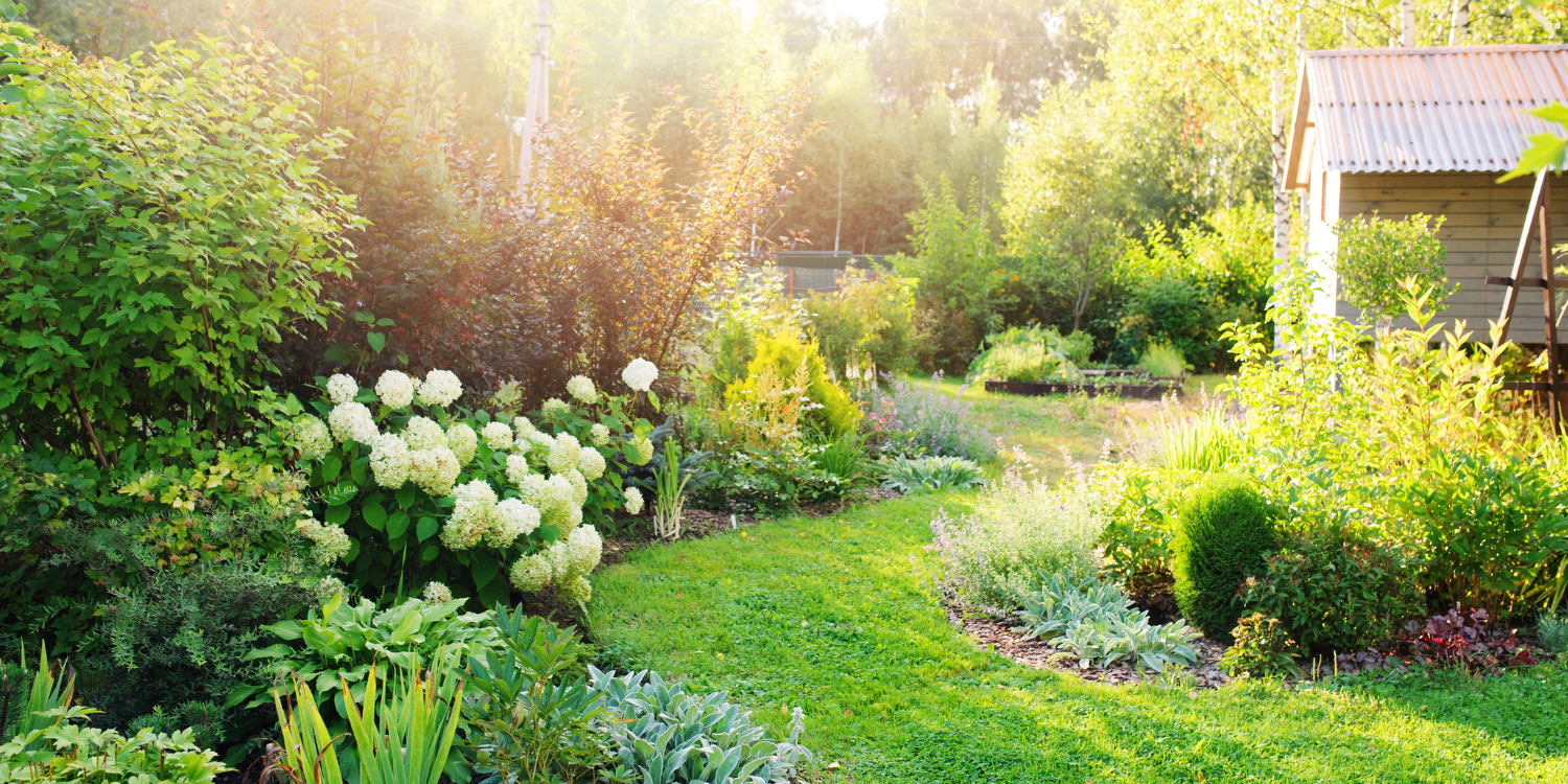 Diverse Garden in the morning sun - How to Select Plants for a Sustainable, Low-Maintenance Garden Using Microclimates