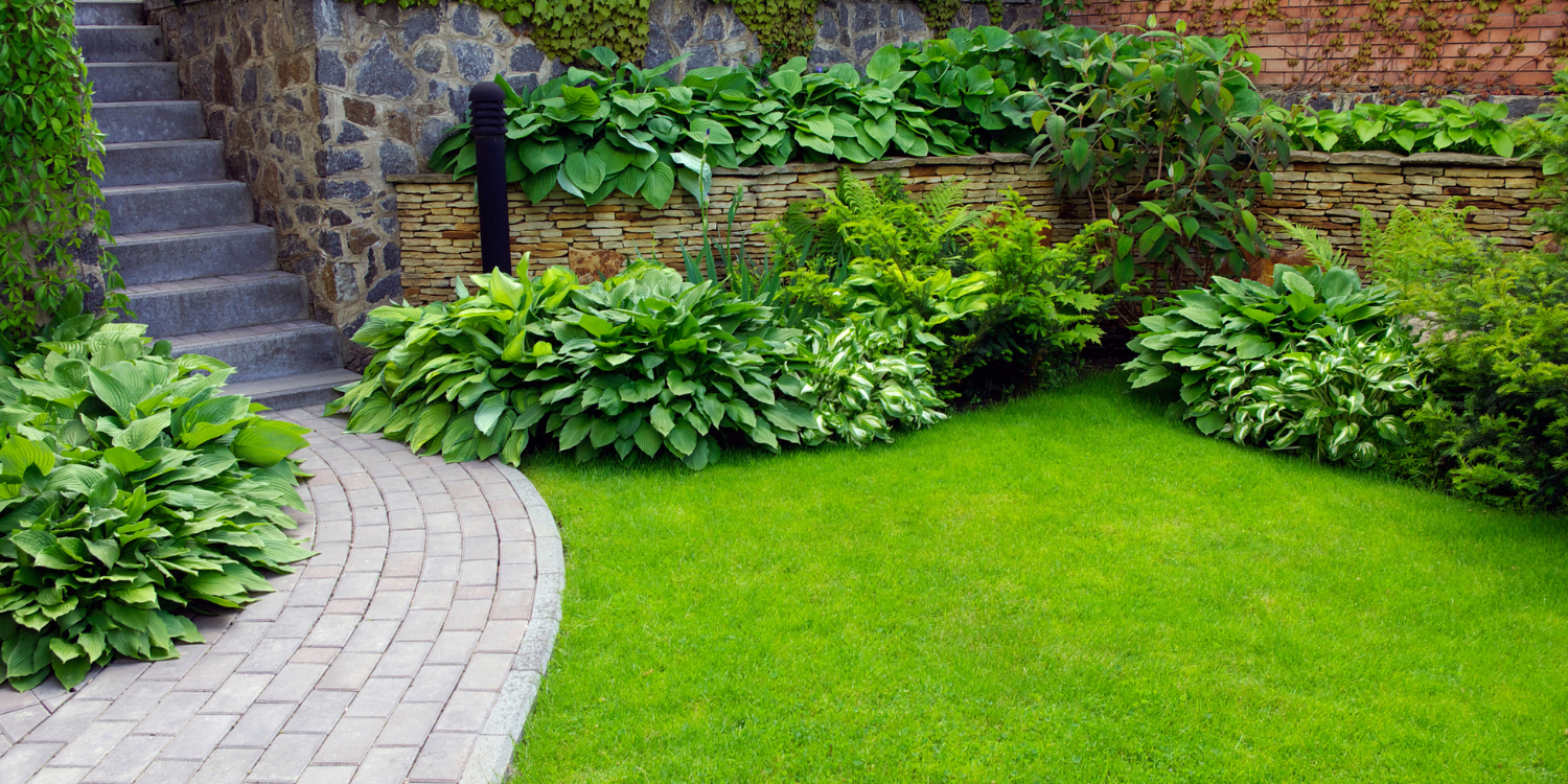 Interlocking pathway in garden/backyard - Unlocking the Beauty of Custom Interlock Stonework: Your Questions Answered