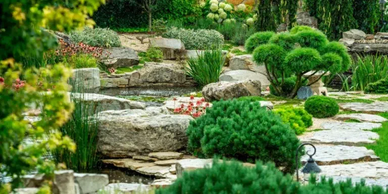 Lawrence Park Landscapeplanting Deign Featured Image.png