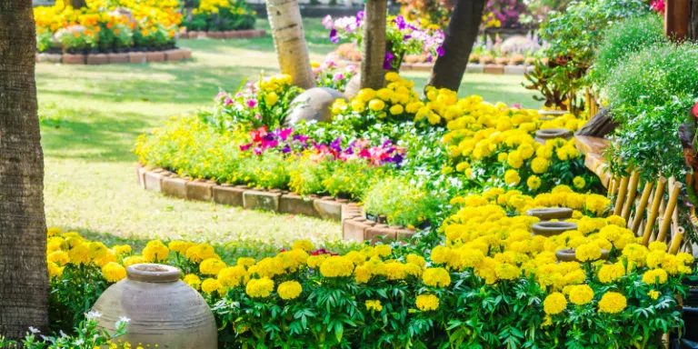 What to Plant Under Mature Trees